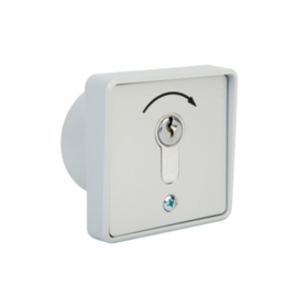 Inbouw sleutelschakelaar. in PVC 1F Art nr. SSP210  (NE)