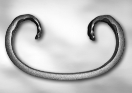 C1102~~KRUL 110X60MM. - 14X6MM.