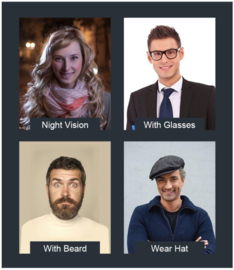 K-17-ACM 10 jettons,Face Recognition RFID Controller. gezichtsherkenning module.Art. 0259 en 10 jettons.  (QU)