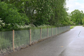 Dassengaas met "krimp" Art. nr. GMC25450820B412 prijs per Rol excl. BTW