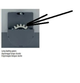 Quiko M4 tandwiel voor de quiko moovy en ercole.  (QU)