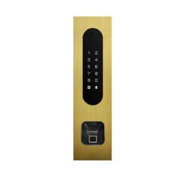 Fasttel FTBG26KF-EKEY | Codeklavier/Badgelezer/Bluetooth/NFC: 1 relais, Wiegand en Cloud. Bronze goud inbouw met Ekey lezer uitsparing 77x257x30 mm (HO)