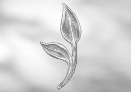 FDF305~~DUBBELZ. SIERORNAMENT