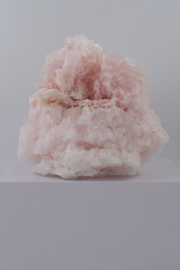 Roze haliet