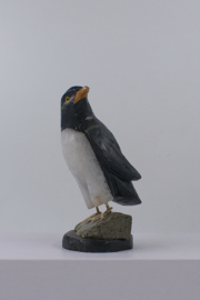 Pinguïn zeepsteen