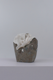 Scolesiet geode