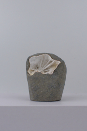 Scolesiet geode