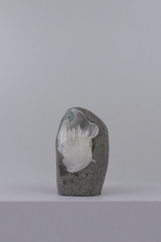 Scolesiet geode