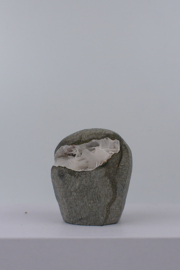 Scolesiet geode