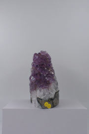 Amethist cut base