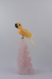 Vogel op rozenkwarts 