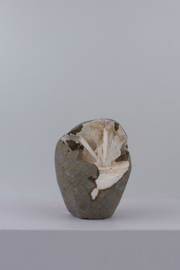 Scolesiet geode