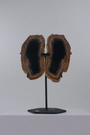 Versteend hout vlinder op standaard
