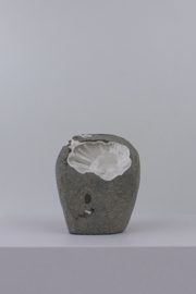 Scolesiet geode