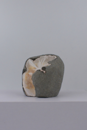 Scolesiet geode
