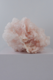 Roze haliet