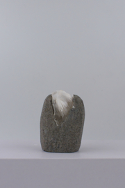 Scolesiet geode