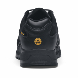 SFC Carrig Low Shoes  231300