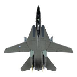 Gegoten model F-14A Tomcat USA 1:100 #7 412706