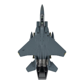 Gegoten model F-15E 1:100 #9