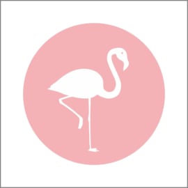 Flamingo Roze