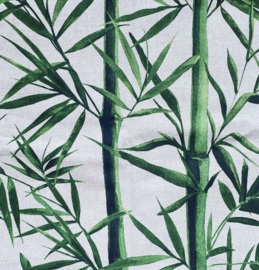 Bamboo