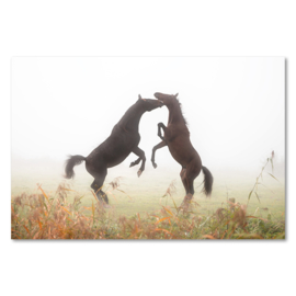 Canvas Steigerende Paarden