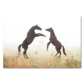 Canvas Steigerende Paarden