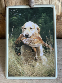 Blikken bordje Retreiver