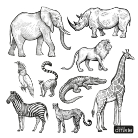 Sticker  |  Jungle dieren set