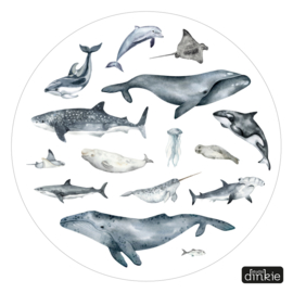 Muurcirkel Ocean Animals