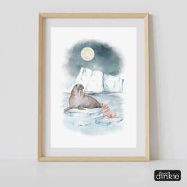 Poster Antarctica  |  Walrussen