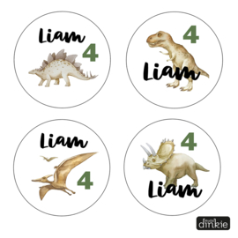 A4 vel 24 stickers met eigen naam/leeftijd, Dino watercolor 4 designs - ⌀ 4 cm