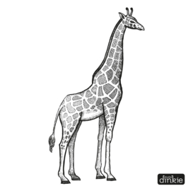 Sticker  |  Giraf
