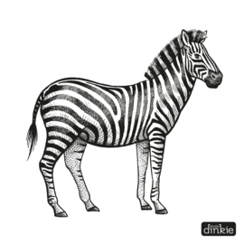 Sticker  |  Zebra