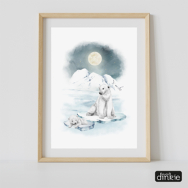 Poster Antarctica  |  IJsberen