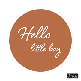 Interieur cirkel  |  Hello little boy
