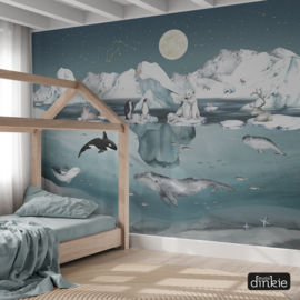 Behang Antarctica by Night