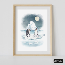 Poster Antarctica  |  Pinguïns