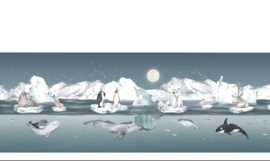 Ledikantlaken Antarctica by Night