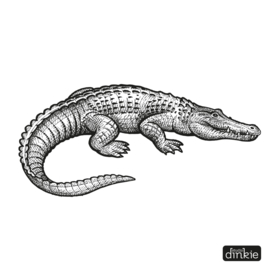 Sticker  |  Krokodil