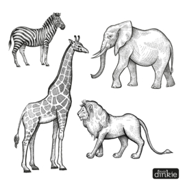 Stickerset  |  Giraf, Leeuw, Zebra en olifant