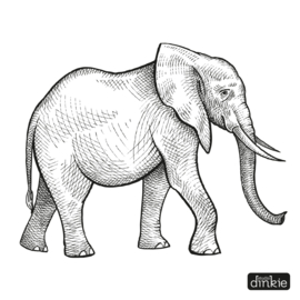 Stickerset  |  Giraf, Leeuw, Zebra en olifant