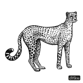 Sticker  |  Luipaard / panter