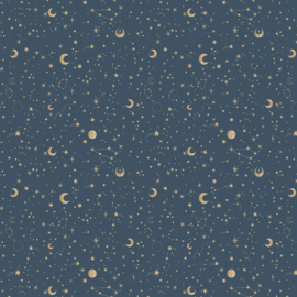 Kerst nacht donkerblauw/goud