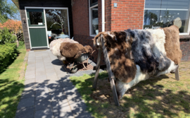 Vachtenwinkel geopend op donderdag tussen 12.00 en 16.00 u