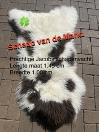 Schaap van de Markt