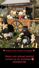 🤎 WOLLIGE HOUTEN   DRENTSE “SCHAAPJES” 