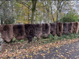 Wollige bruine vacht Afmeting tot 100 bij 65/70 cm