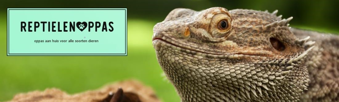 Reptielenoppas